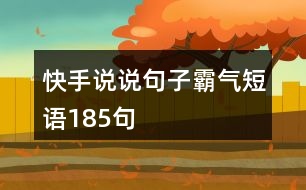 快手說(shuō)說(shuō)句子霸氣短語(yǔ)185句