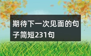期待下一次見面的句子簡短231句