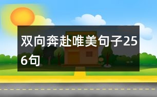 雙向奔赴唯美句子256句