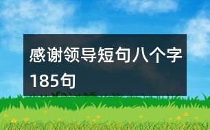 感謝領(lǐng)導(dǎo)短句八個(gè)字185句