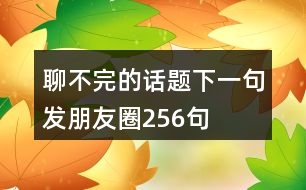 聊不完的話題下一句發(fā)朋友圈256句