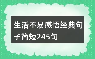 生活不易感悟經典句子簡短245句