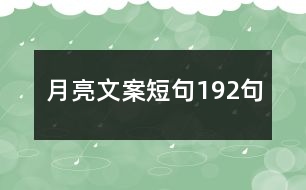 月亮文案短句192句