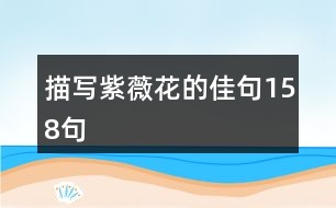 描寫(xiě)紫薇花的佳句158句