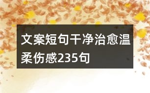 文案短句干凈治愈溫柔傷感235句