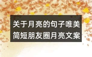 關(guān)于月亮的句子唯美簡(jiǎn)短朋友圈月亮文案181句