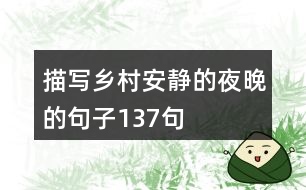 描寫(xiě)鄉(xiāng)村安靜的夜晚的句子137句