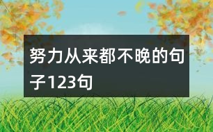 努力從來都不晚的句子123句