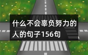 什么不會(huì)辜負(fù)努力的人的句子156句