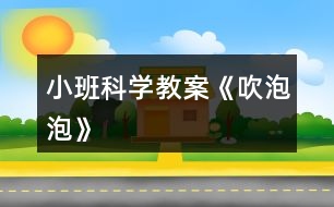 小班科學教案《吹泡泡》