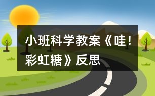 小班科學(xué)教案《哇！彩虹糖》反思