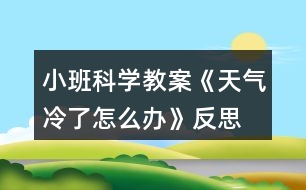 小班科學(xué)教案《天氣冷了怎么辦》反思