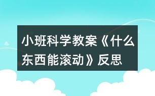小班科學(xué)教案《什么東西能滾動》反思