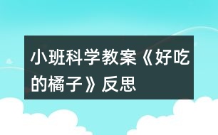 小班科學教案《好吃的橘子》反思