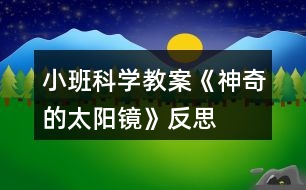 小班科學教案《神奇的太陽鏡》反思
