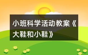 小班科學(xué)活動教案《大鞋和小鞋》