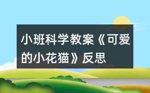 小班科學教案《可愛的小花貓》反思