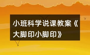 小班科學說課教案《大腳印、小腳印》