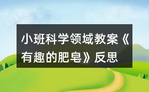 小班科學領域教案《有趣的肥皂》反思