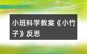 小班科學教案《小竹子》反思