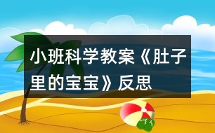 小班科學教案《肚子里的寶寶》反思