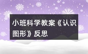 小班科學(xué)教案《認(rèn)識(shí)圖形》反思