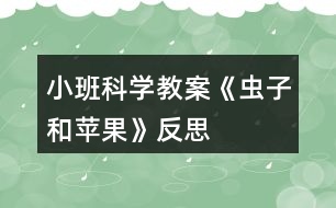 小班科學(xué)教案《蟲子和蘋果》反思