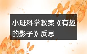 小班科學(xué)教案《有趣的影子》反思