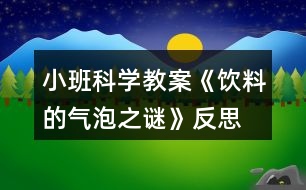 小班科學教案《飲料的氣泡之謎》反思