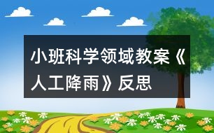 小班科學領(lǐng)域教案《人工降雨》反思