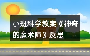 小班科學教案《神奇的魔術(shù)師》反思