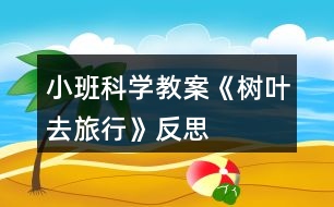 小班科學(xué)教案《樹葉去旅行》反思