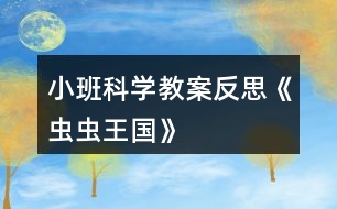小班科學(xué)教案反思《蟲蟲王國(guó)》