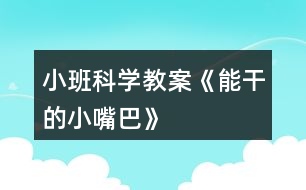 小班科學(xué)教案《能干的小嘴巴》