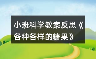小班科學教案反思《各種各樣的糖果》