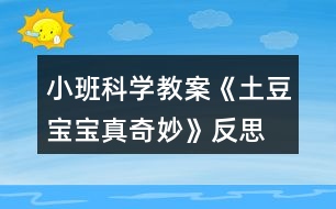 小班科學教案《土豆寶寶真奇妙》反思