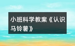 小班科學教案《認識馬鈴薯》