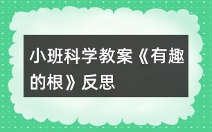 小班科學教案《有趣的根》反思