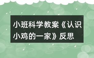 小班科學(xué)教案《認識小雞的一家》反思