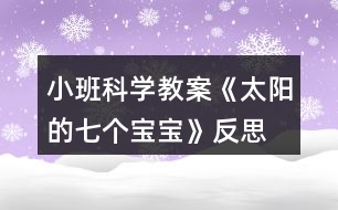 小班科學(xué)教案《太陽的七個(gè)寶寶》反思