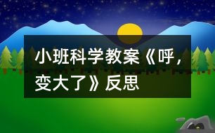 小班科學(xué)教案《呼，變大了》反思