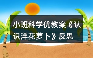 小班科學(xué)優(yōu)教案《認(rèn)識(shí)洋花蘿卜》反思