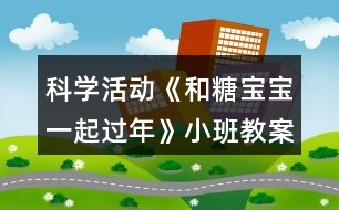 科學(xué)活動(dòng)《和糖寶寶一起過年》小班教案
