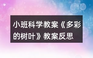小班科學教案《多彩的樹葉》教案反思