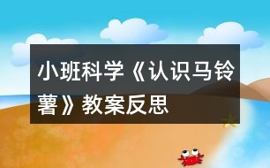 小班科學(xué)《認(rèn)識馬鈴薯》教案反思