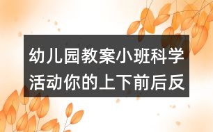 幼兒園教案小班科學(xué)活動你的上下前后反思
