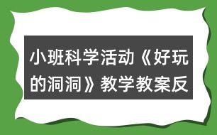 小班科學活動《好玩的洞洞》教學教案反思
