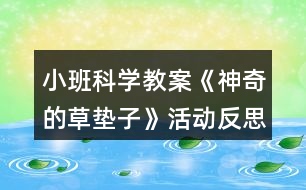 小班科學(xué)教案《神奇的草墊子》活動反思