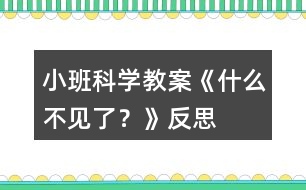 小班科學(xué)教案《什么不見了？》反思