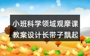 小班科學(xué)領(lǐng)域觀摩課教案設(shè)計(jì)長(zhǎng)帶子飄起來(lái)反思